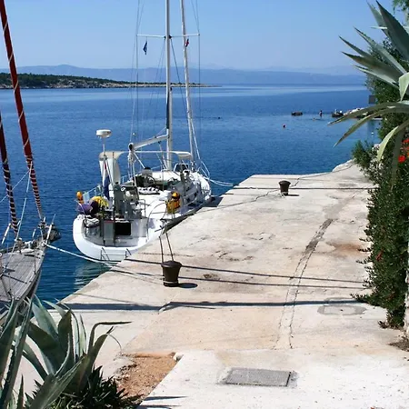 Apartment Studio Pokrivenik 5231E